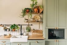 kitchen plants 1658912977