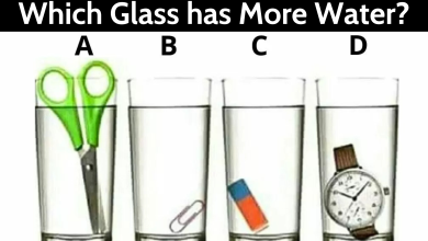 Which Glass has More Water