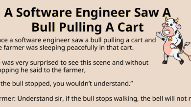 A Software Engineer Saw A Bull Pulling A Cart