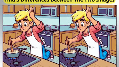 Spot 3 Differences Between Pot Stirring Pictures in 60 Seconds