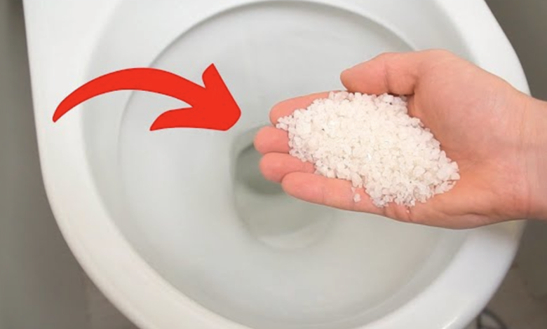 Put Salt In The Toilet. This Trick Will Change Your Life