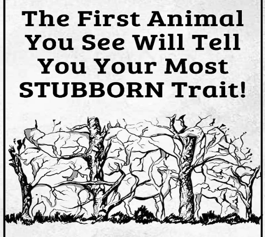 The First Animal You See Represents Your Most Stubborn Trait