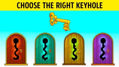 Challenging Riddle for Those With a Keen Eye: Choose the Right Keyhole