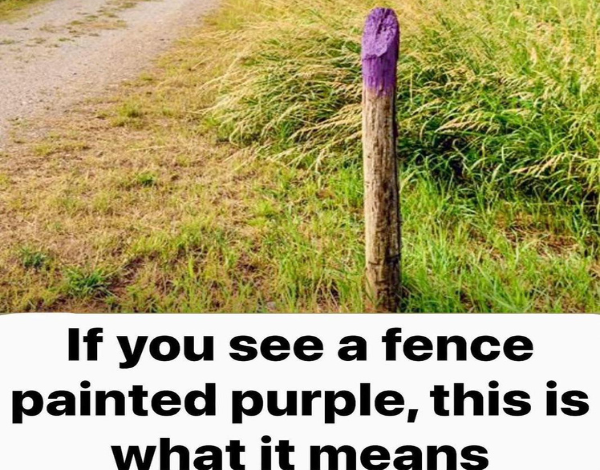 If You See A Fence Painted Purple You Better Know What It Means