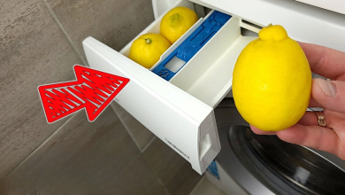 Put 2 Lemons In The Washing Machine Tank