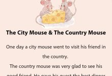 Story The City Mouse The Country Mouse thumb