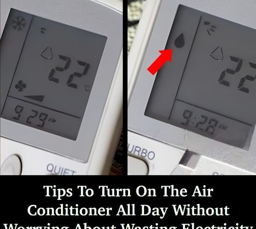 Tips to Keep Your Air Conditioner Running Efficiently Without Breaking the Bank