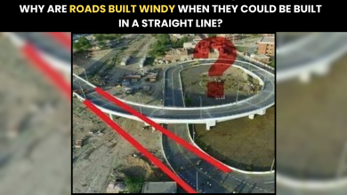 Why Are Roads Built Windy When They Could Be Built In A Straight Linevvv