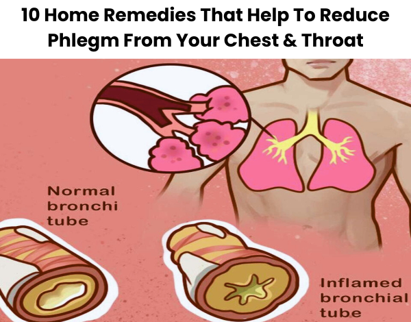 10 Home Remedies That Help To Reduce Phlegm From Your Chest Throat