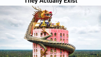 15 Buildings That We Could Imagine Only In Our Dreams But They Actually Exist e1726957752489