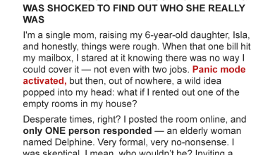 I Rented a Room to a Stranger and Uncovered a Shocking Family Secret e1726951352643