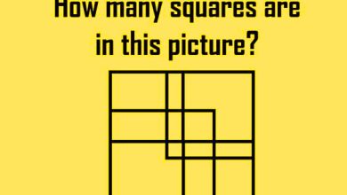 MindBending Puzzle The True Number of Squares Revealed