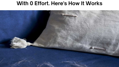 My Mom Taught Me This Trick To Remove Pet Hair From Furniture In Just 2 Minutes With 0 Effort