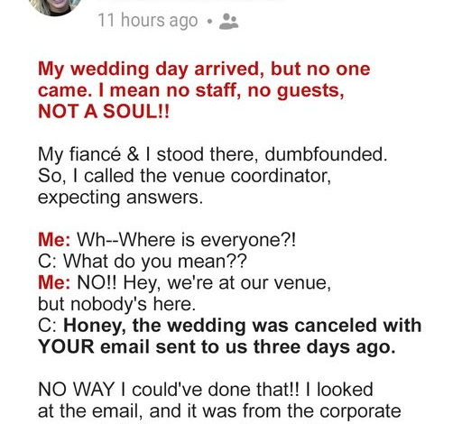 My Wedding Planner Said I Canceled My Own Wedding but I Didnt The Truth Left Me Speechless