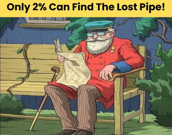 Only 2 Can Find The Lost Pipe You Try Now