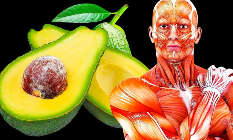 What Can Happen to Your Body If You Start Eating an Avocado a Day for 30 Days