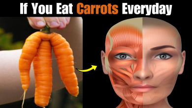 What Happens When You Start Eating Carrots Everyday2