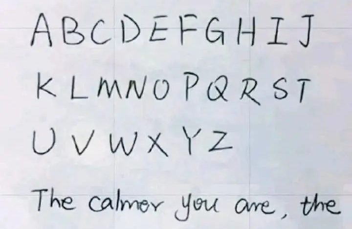 464719188 981059930730017 7843246425724389331 nv