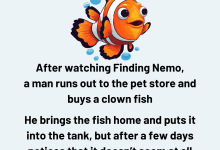 A Man Runs Out To The Pet Store And Buys A Clown Fish e1729744615965