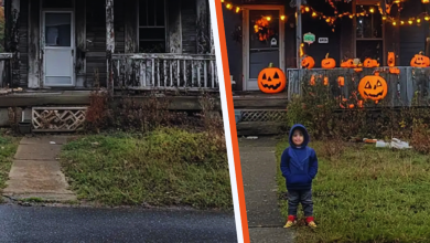 Boy Decorates the House of a Lonely Old Lady for Halloween to Convince Her That the Holiday Is Worth Celebrating e1729140068633