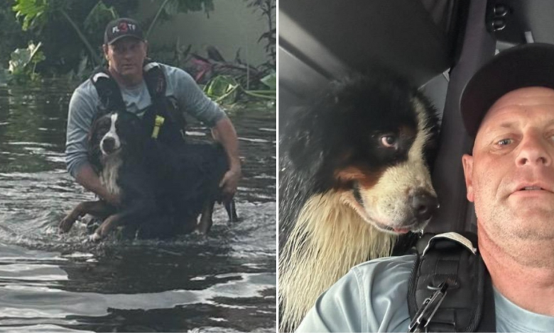 Dogs Eyes Say It All After Firefighter Rescues Him From Hurricane Milton Flood