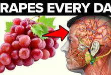 Eat Grapes Every Day See What Happens To Your Body2