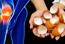 Eggshell Remedy for Knee and Bone Pain A Natural Solution