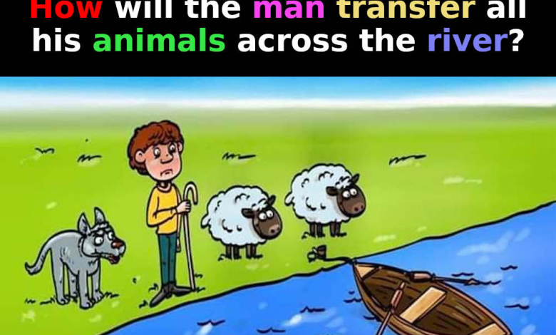 How will the man transfer all his animals across the river2 e1730254875495