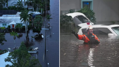 Images Coming In From Florida Show The Devastating Impacts Hurricane Milton