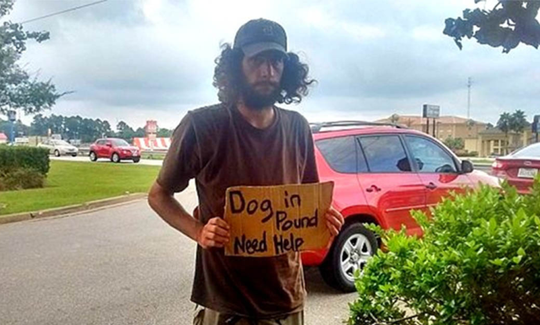 Kind Woman Helped Homeless Man Reunite With His Dog