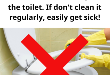 This is the place that contains the most bacteria in the house not the toilet. If dont clean it regularly easily get sick