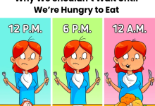 Why We Shouldnt Wait Until Were Hungry to Eat2