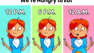 Why We Shouldnt Wait Until Were Hungry to Eat2