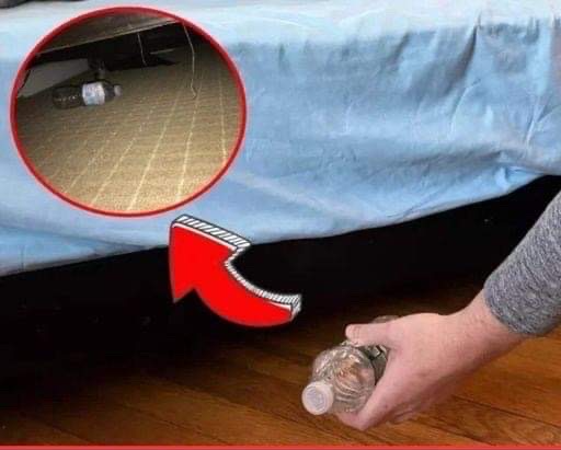 Why should you toss a bottle of water under the bed right after you check in2222