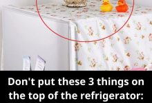 refrigerator