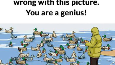 wrong in picture duck