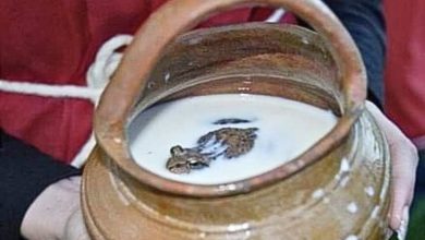 frog in milk